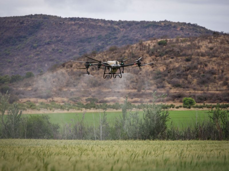 Multi-rotor agricultural drone hovering low over a green crop field, releasing a fine spray, with hills rising behind